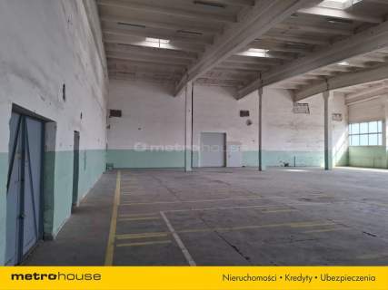 Wynajem hali w Toruniu o powierzchni 1518,4 m2.