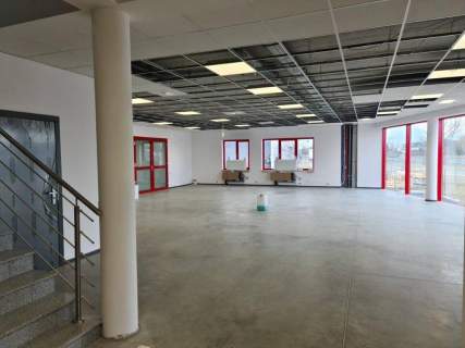 Nieruchomość komercyjna do wynajęcia, 170 m2, Tarnowo Podgórne