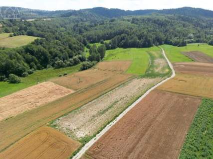 UROKLIWA DZIALKA 1,10 HA W JODŁOWEJ - OTOCZONA NATURĄ, Z P