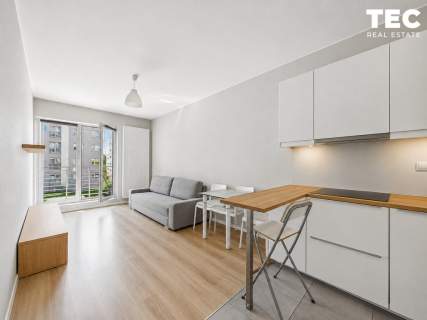 Francuska Park z miejscem duży balkon