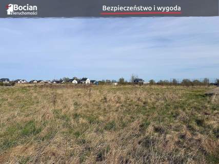 Duża, uzbrojona, płaska, słoneczna Wiślinka