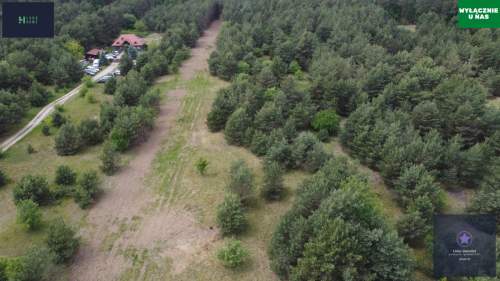 Działki budowlane przy lesie