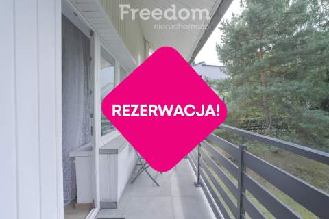 Mieszkanie 3 pokoje z osobną kuchnią do wynajęcia 