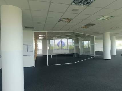Wola lokal biurowy 1396,46m2 do wynajęcia