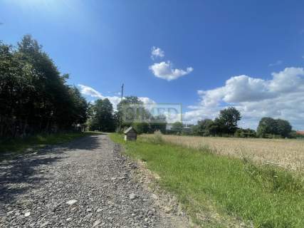 Dostęp do stawu ok 20m,zielony zagajnik .Tułowice