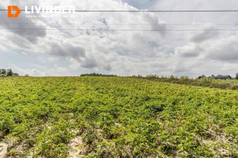 DZIAŁKI ROLNE 1,9 HA MINOGA, GM. SKAŁA