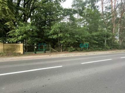 Działka budowlana z pięknymi drzewami
