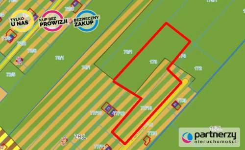 Duża działka 30 km od Warszawy z prywatnym lasem