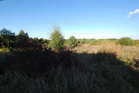Działka 1011 m2 Zbrza gmina Morawica