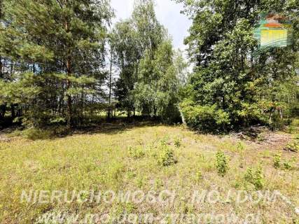 Działka rolno-leśna w Petrykozach - 16 975 m2