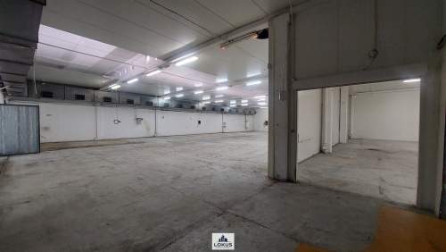 Magazyn Produkcja biuro parking