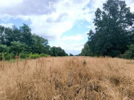 Siedlisko-Marków Towarzystw k/Mszczonowa
