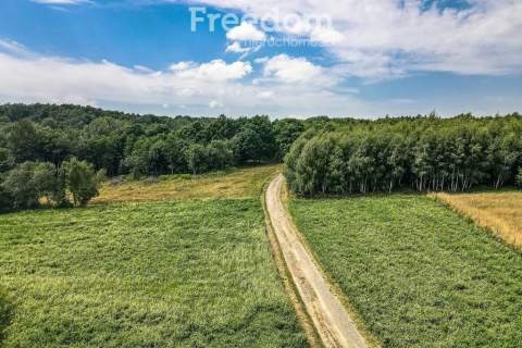 Działka w Kraczkowej, pod lasem, posiadająca WZ