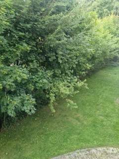 Apartament w zieleni nad rzeką w centrum Rumi