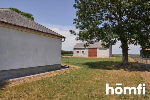 Dom z dużą działką 5000 m Miączyn-Stacja