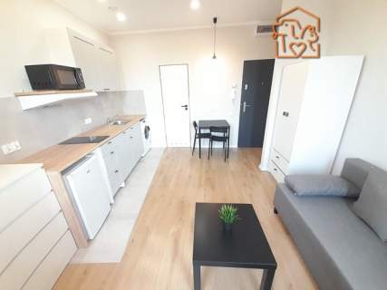 Studio w centrum, pet-friendly - Cmentarna 26