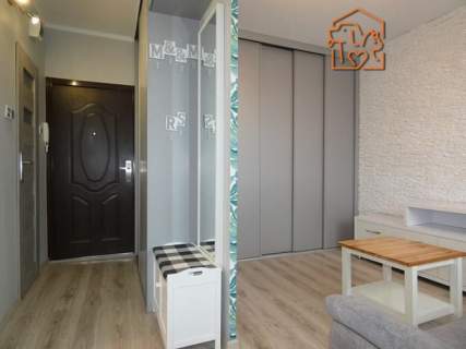 Kawalerka, piwnica, pet-friendly - Wilka 10