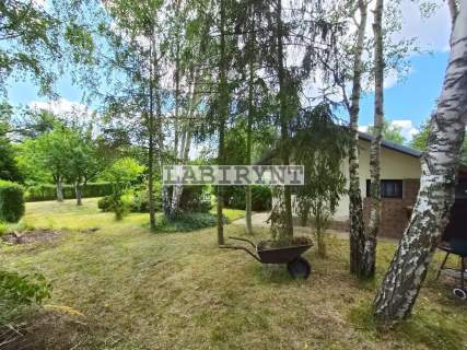Dwie działki ROD w cenie jednej - 725m2, Sarenka