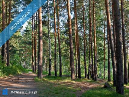 Działki budowlane w lesie nad wodą warmińsko-mazurskie