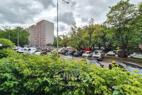 Kamienna/Śliczna/Media Miejskie/1 Wynajem/Balkon