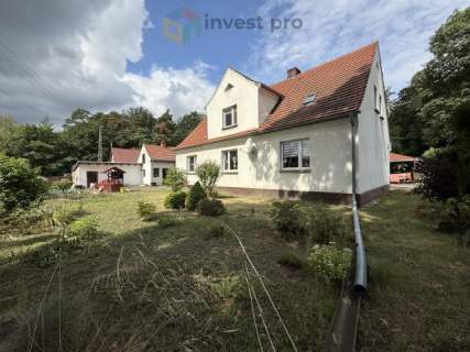 Blisko las, działka 9 ar, spokojne sąsiedztwo