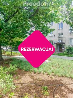 37 m2 I METRO Kamienica CEGŁA Parkiet Balkon