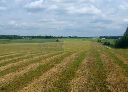 Linia brzegowa, ok.39 000PUM/PUU