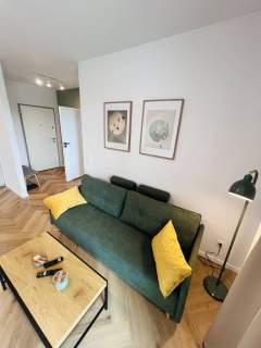 Mieszkanie do wynajęcia, 41 m2, Gdańsk
