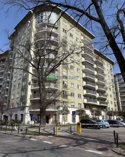 Przestronny narożny lokal, duże witryny