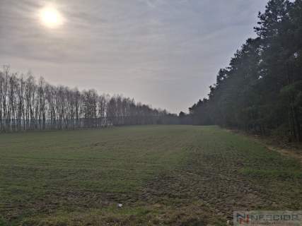 Dwie działki budowlane po 1000 m w Boroszkowie