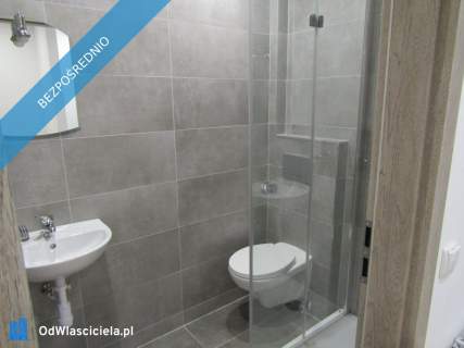 Oferuję mieszkanie 2 pokojowe na wynajem