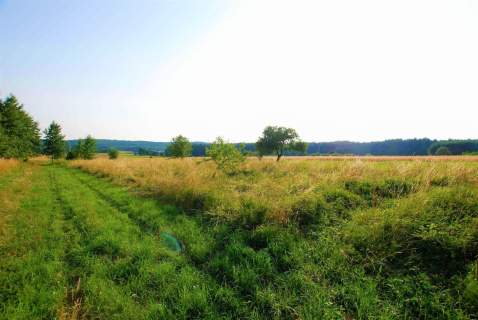 Działka 1000 m2