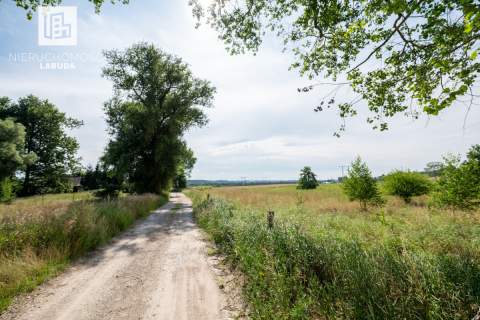 Leźno Działki 3000 5700 m Bezterminowe WZ