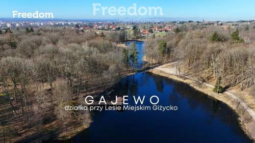Rezerwacja Las Miejski, ul. Spacerowa