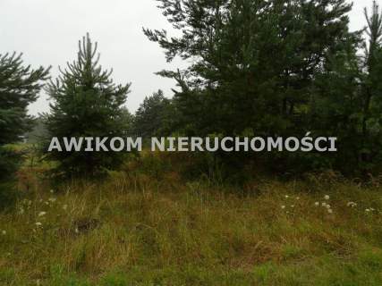Działka budowlana na sprzedaż, 5561 m2, Skierniewice