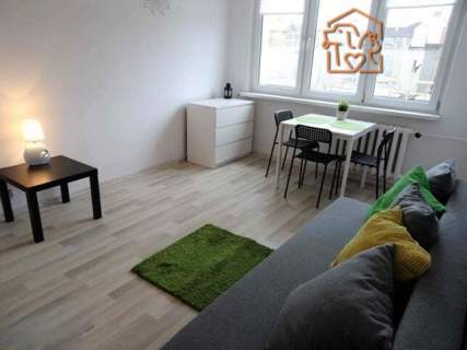 2 pokoje pet-friendly - Grobla 6c