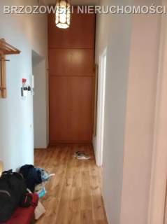 Nowy Świat, 38,5 m2, 1909 r, 1 pok., 3,5 m wys.