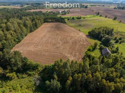 Działka siedliskowa z mpzp - dom, las, cisza
