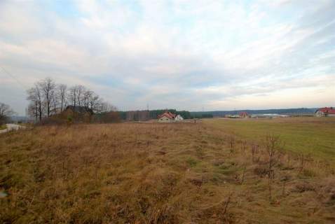 Działka 2273 m2, Zajączków gm. Piekoszów