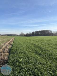 Ponad 6 ha ziemi idealne pod siedlisko, agroturystykę, st