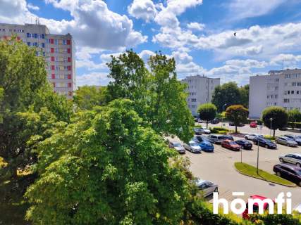 2 pokoje kuchnia Sinapiusa Widok na zieleń