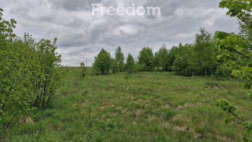 Malownicza działka 3026 m las i jezioro