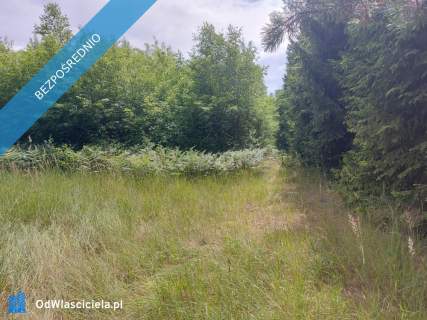Działka 2,82 ha na sprzedaż Wiluki