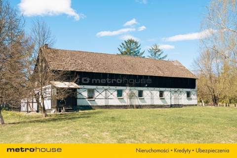 Dochodowa agroturystyka NOWOGRÓDEK