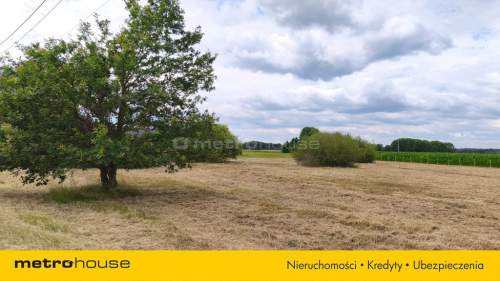 Działka rolna z dojazdem asfaltowym Brynica
