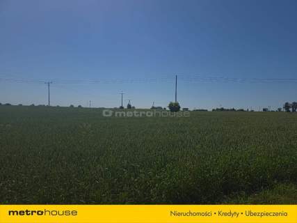 Działka budowlana 2900 m Nieżychowice