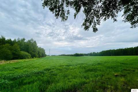 6 działek wydane WZ w Chlewiskach, gm. Kotuń