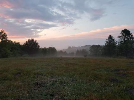 Działka budowlana 4990 m2 Dymnica, Ulinia nad morzem