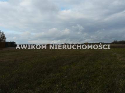 Działka rolna na sprzedaż, 162570 m2, Wycześniak