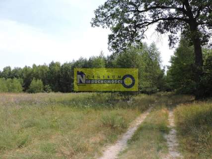 Duża działka w miejscowości Kłudno.